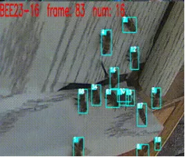 0c3c83e5849b71c310734af14047914a.png