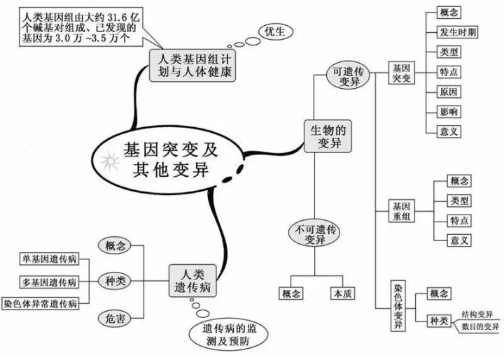 初二生态系统思维导图学霸整理20张生物思维导图最全版本