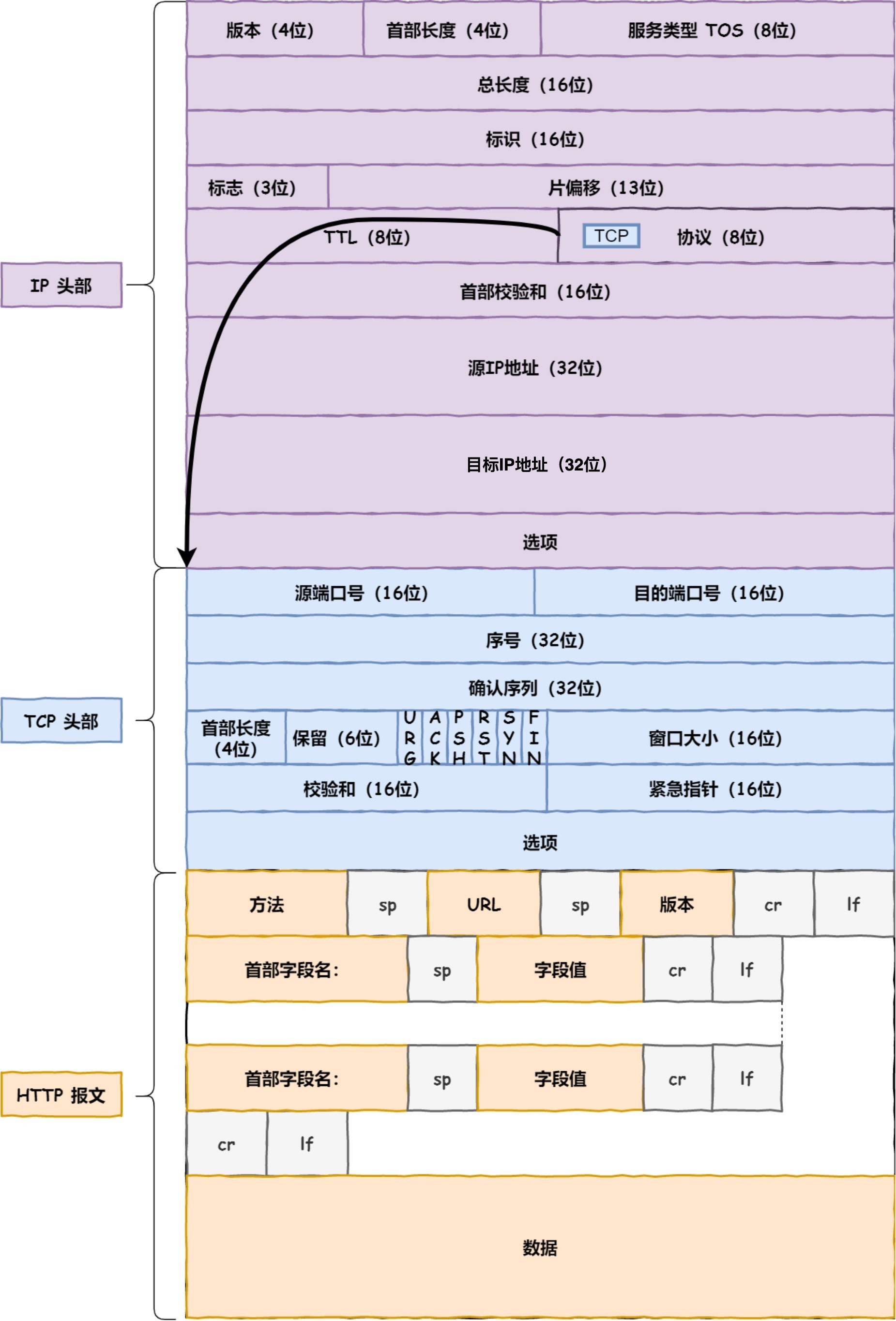 IP 层报文