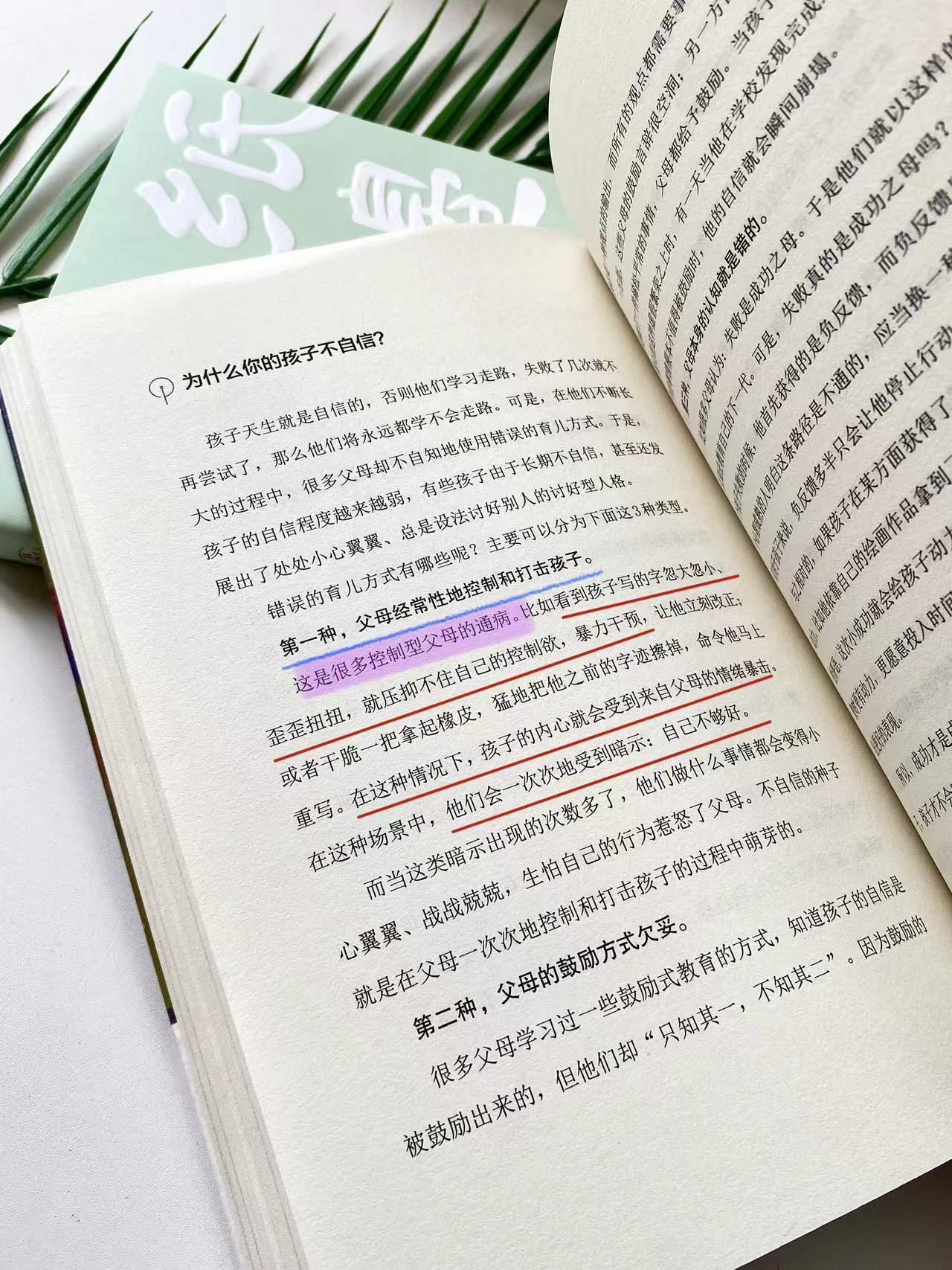 0caf55770e59c1de704b59162759a6eb.jpeg