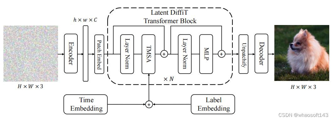 DiffiT_卷积_06