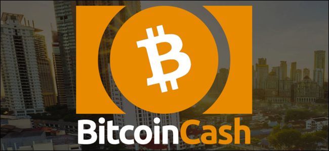 比特币现金叉和其他加密货币  bitcoin cash fork and other crypto