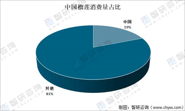 2021年中国榴莲行业市场发展分析：市场需求巨大，高度依赖进口，进口价格不断上涨[图]