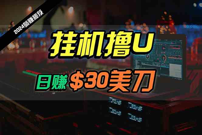 2024最新海外挂机撸U内部项目，全程无人值守，日赚30美刀，可批量放大 第1张