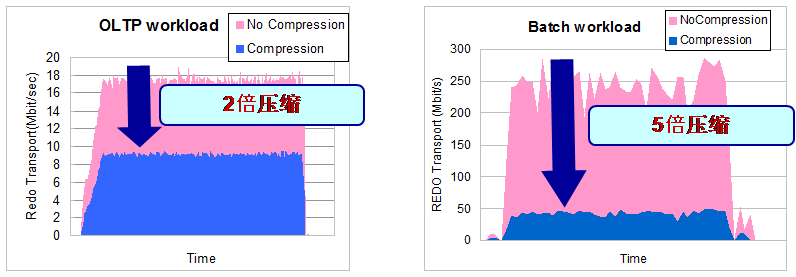 compressz6