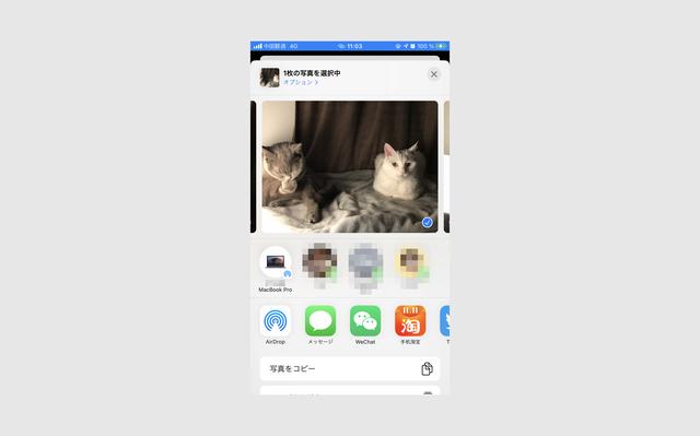 minio 授予永久访问权限_应对 iOS 14 权限管理 应用手把手教你打开“所有照片”权限...