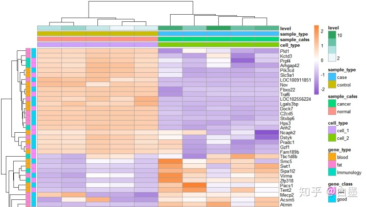 怎么让热图显示基因名_r 生信数据可视化 01 聚类热图_尼克六六的博