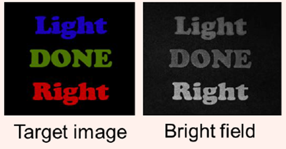 清晰光谱空间：全自动可调波长系统的高光谱成像优势
