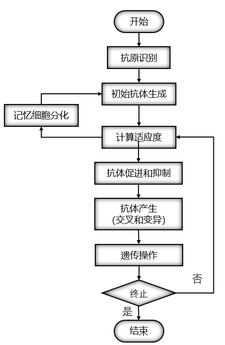 免疫遗传算法流程