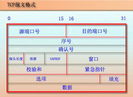 TCP与UDP