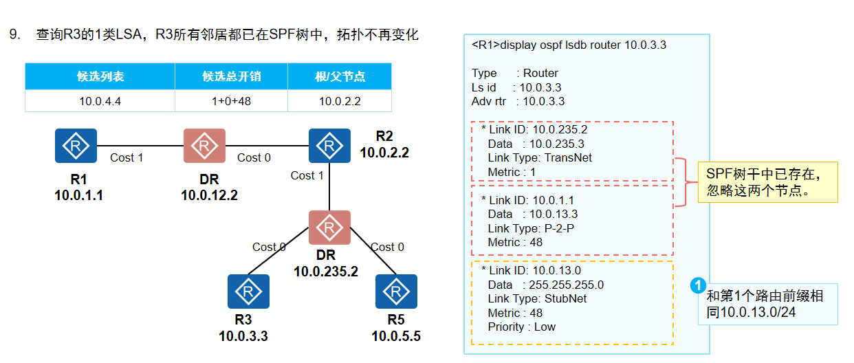 构建SPF树5