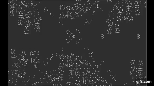 0e207a74ab0c2fe95da58612854225f6.png
