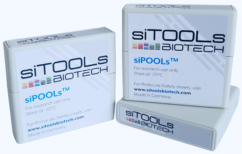 siPOOLs（一款高效、特异性好的RNAi试剂，可有效消除脱靶效应）