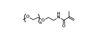 mPEG-MAcA，聚乙二醇单甲醚甲基丙烯酰胺，mPEG-Methacrylamide