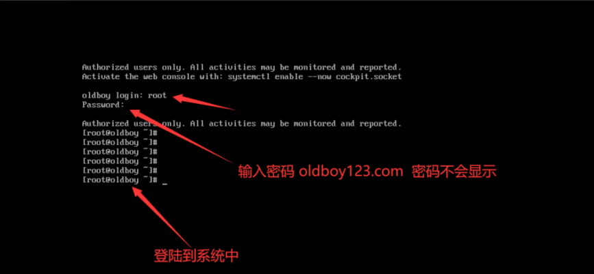 image-20241022142833488