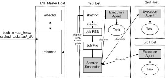 当 LSF 会话调度程序开始运行时，它将在其分配中的每个主机上启动一个执行代理程序。