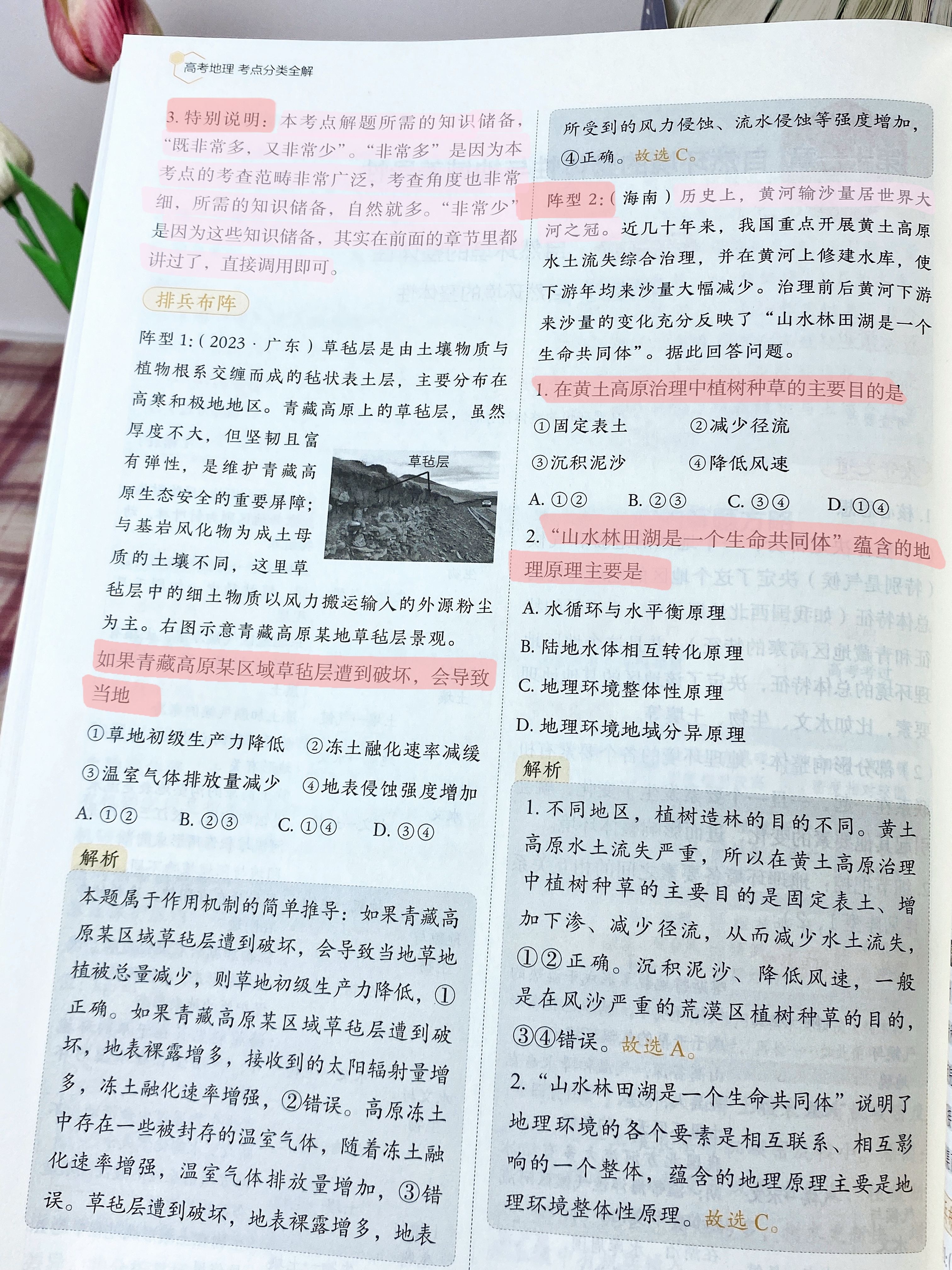 0ea13c3d47844fc5cdf246fc8536d82a.jpeg