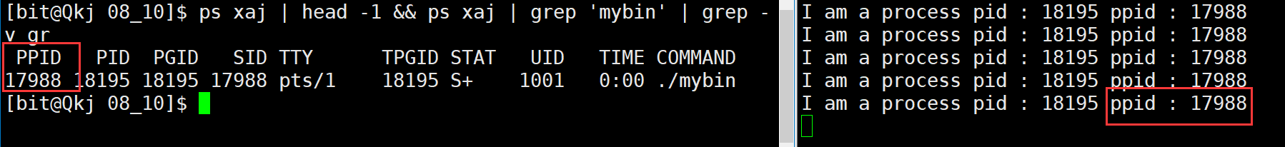 image-20220810141704427