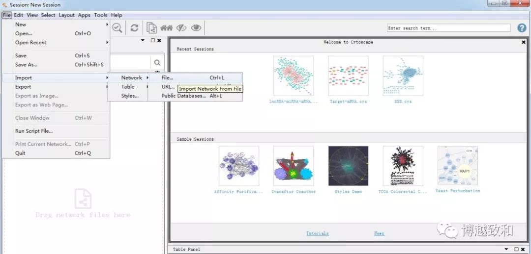 cytoscape linux