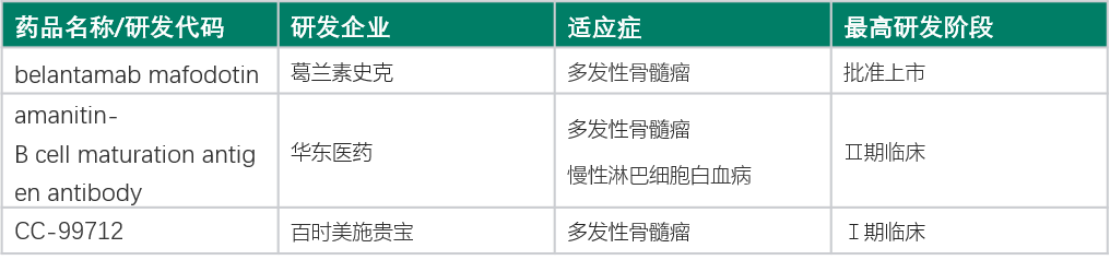 【靶点Talk】BCMA疗法能否成为下一个掘金点？