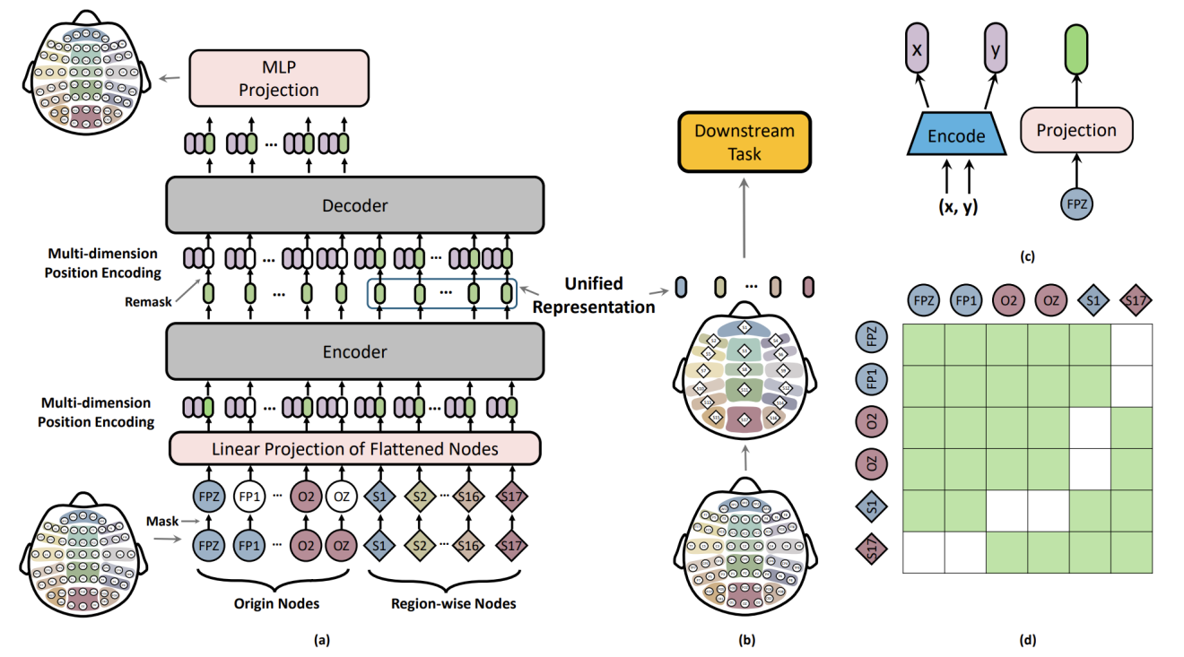 图5：(a) MMM 总体框架；(b) 构建基于脑区的区域级别节点；(c) 多维位置编码；(d) 区域节点与电极节点之间的注意力掩码矩阵