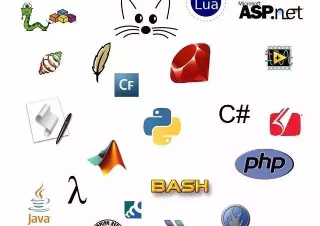 java,c语言,python,c++哪个好,编程java和c语言和python-CSDN博客