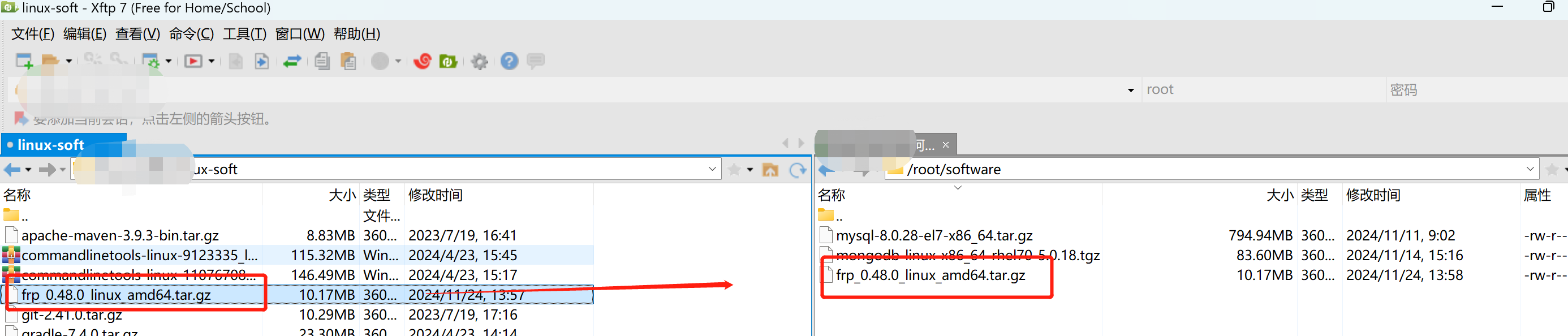 Linux 安装 Frp 内网穿透_linux安装frp-CSDN博客