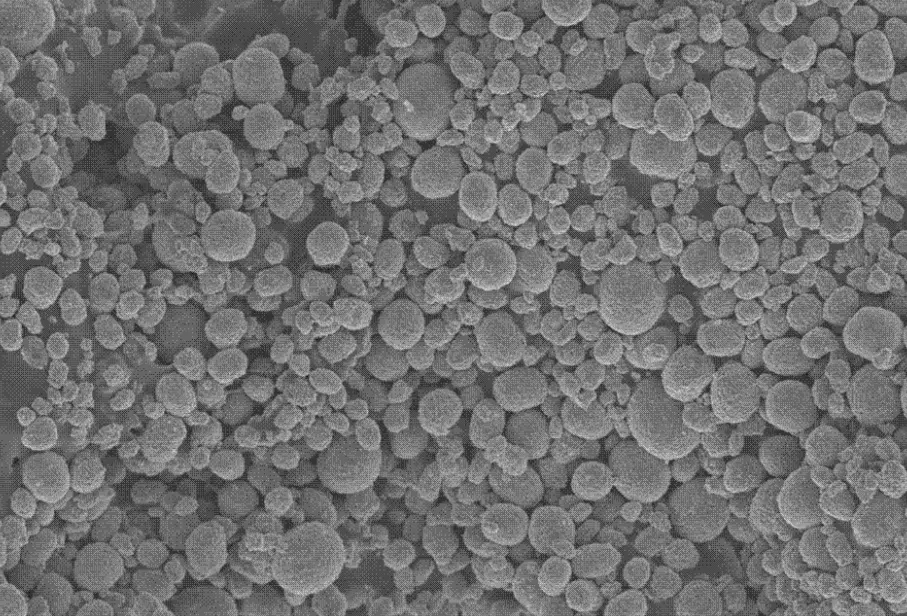 微球水凝胶的制备与研究_海藻酸钠pva凝胶_瑞禧生物小晓的博客-csdn博