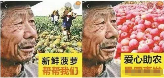 利用短视频操作滞销水果售卖 零成本倒卖也能年赚百万元5022 作者:福缘资源库 帖子ID:87653