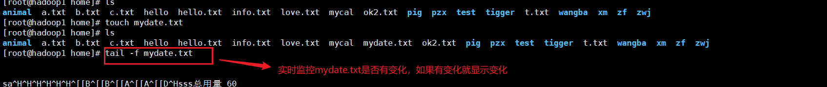 image-20210528124518287