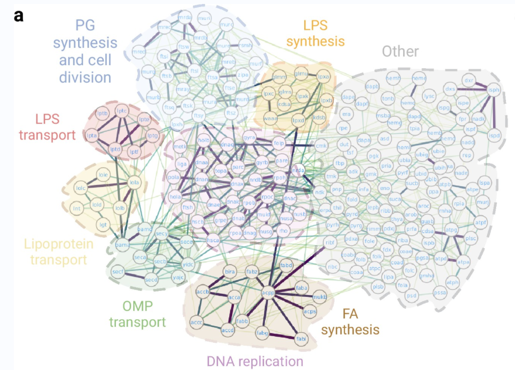 AlphaFold 预测细菌生存所需的 1402 种蛋白互作，最完整的细菌必需相互作用图谱...-CSDN博客