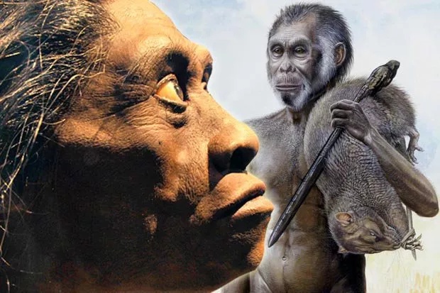 jj为什么会变大变小难以逃脱的孤岛诅咒为什么岛屿动物总是最奇葩的