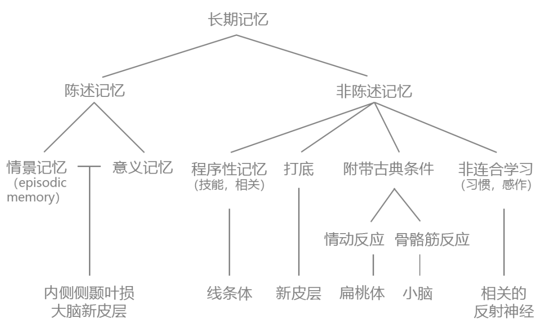 程序性记忆_陈述性知识和程序性知识举例「建议收藏」