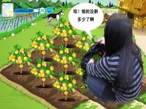 腾讯官方统计qq农场最高日在线人数达1600万.