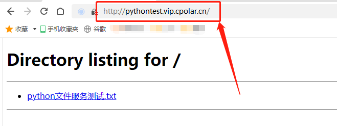 Python文件共享+cpolar内网穿透：轻松实现公网访问