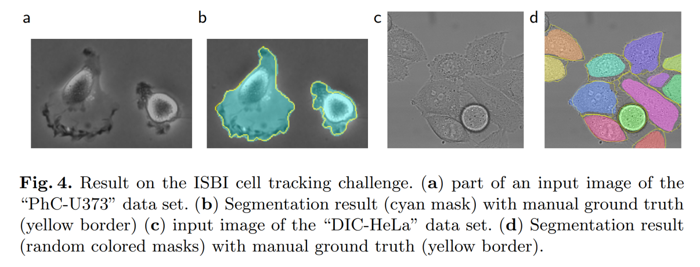 cell-track