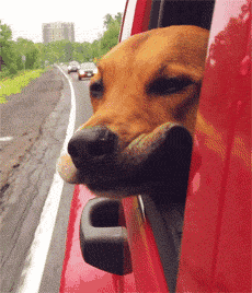 1030f8b55b5ef0d07850d22ff57f3e06.gif