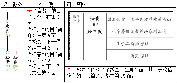 家谱族谱软件用云码宗谱