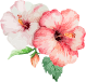 1041a99ccd3880438315cdf14ad04ef6.png
