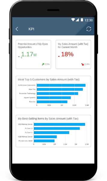 SAP Business One