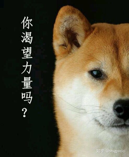 前言:在以往开发中,不会涉及到跨域的问题,因为往往都是在同一个项目