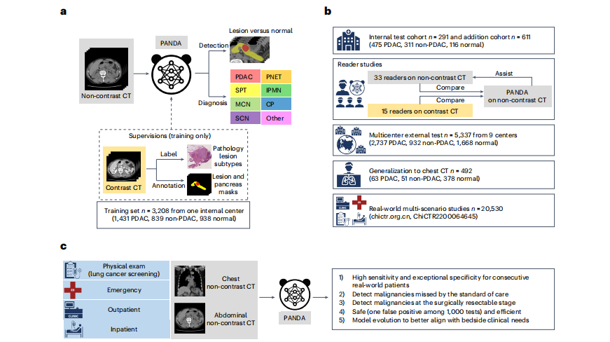大规模胰腺癌检测通过非对比增强CT和深度学习| 文献速递-视觉通用模型与疾病诊断
