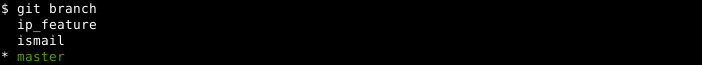 List Local Branches