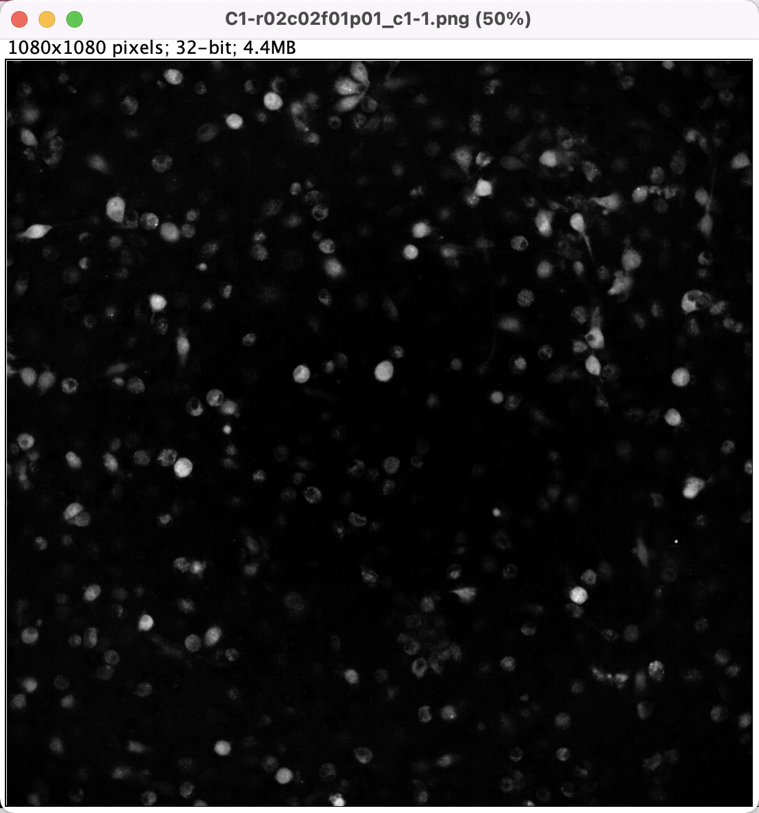 image-20220824162609861