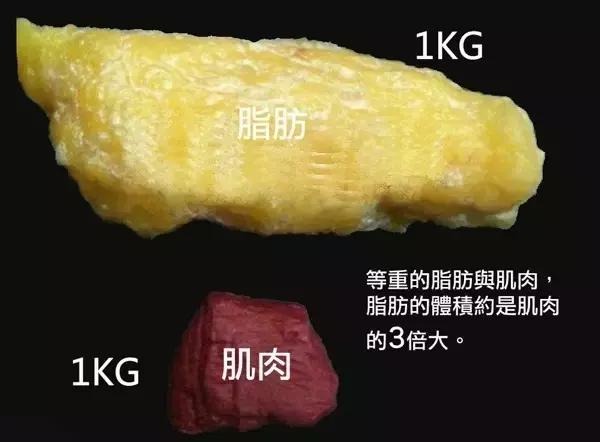 测试不同体重体型软件样子的为什么有的人身高体重相同体型却不一样这