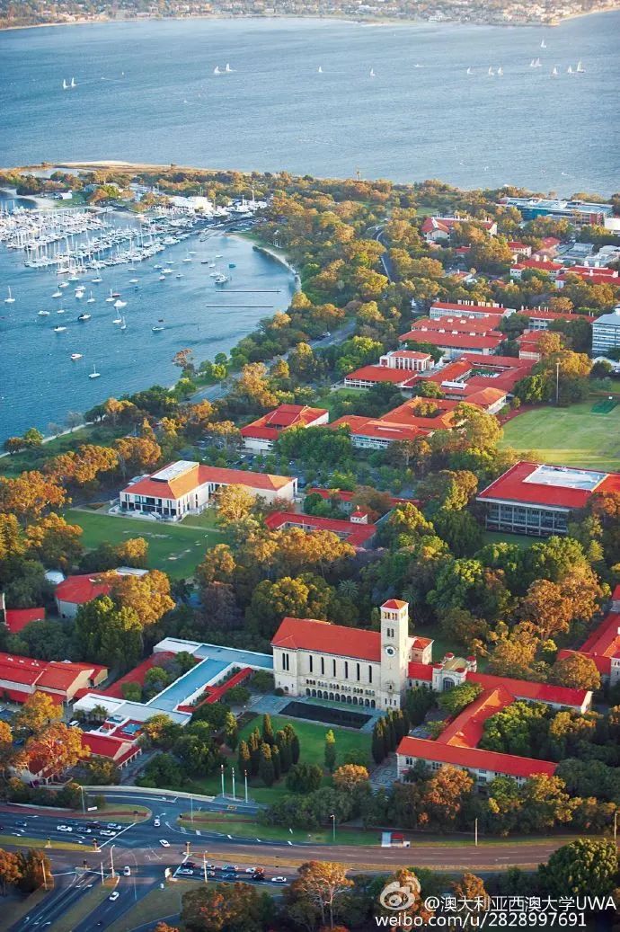 西澳大学(the university of western australia)