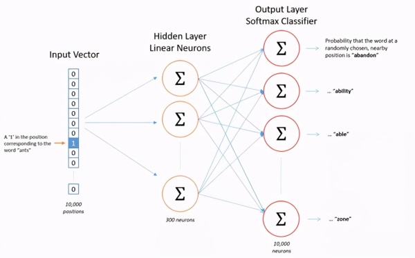 Six basic AI terms: how to do well in artificial intelligence consulting services?