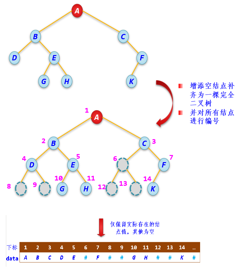  一般二叉树及其相应的顺序存储结构 