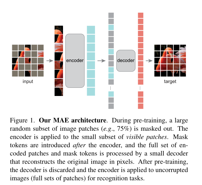 image-20220408092326802