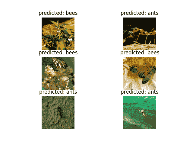 预测：蜜蜂，预测：蚂蚁，预测：蜜蜂，预测：蜜蜂，预测：蚂蚁，预测：蚂蚁